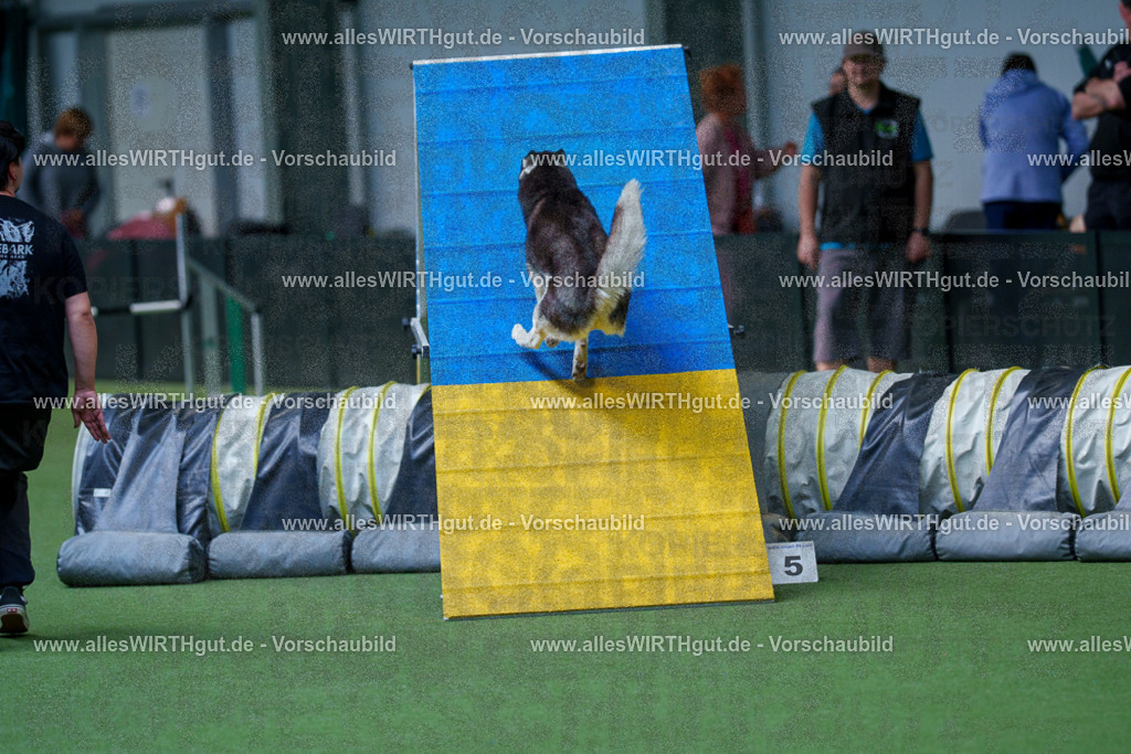 @allesWIRTHgut_Tierfotografie - www.allesWIRTHgut.de - 2604251521-7R505823 | Professionelle Tierfotografie in Mönchengladbach von Daniel Wirth (allesWIRTHgut). Liebevolle & natürliche Bilder von Hunden & Katzen für unvergessliche Erinnerungen.
