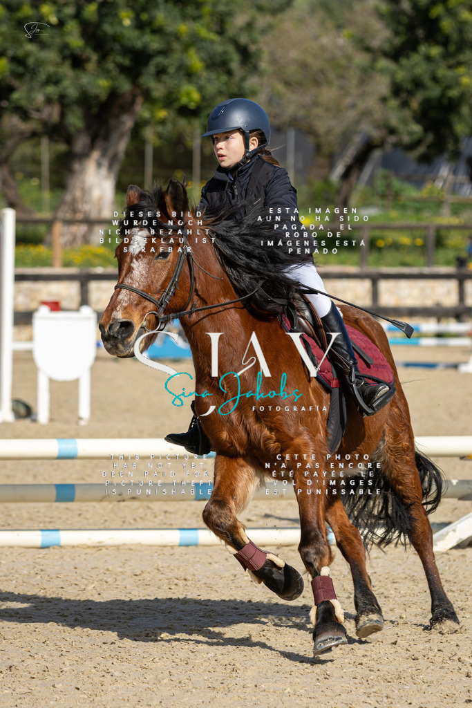 IMG_5999 | s-jay-photography - Realisiert mit Pictrs.com