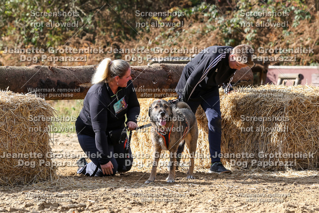 Dog Paparazzi - Strongdog 10-25-5202 | Dog Paparazzi Jeanette Grottendiek Fotografie & Videografie - Realisiert mit Pictrs.com