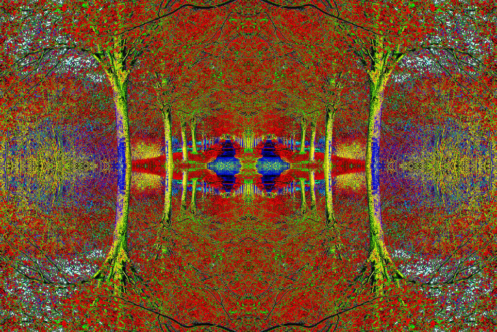 Astgewirr | Moderne Digital Art – Exklusive Kunstwerke für dein Zuhause
Entdecke einzigartige Digital Art und verleihe deinen Räumen eine moderne und stilvolle Atmosphäre. Unsere hochwertigen Kunstdrucke kombinieren innovative Technik mit künstlerischer Kreativität und bringen abstrakte, geometrische und futuristische Designs direkt an deine Wand.
✔ Hochauflösende Drucke in brillanten Farben
✔ Exklusive Motive von talentierten Digital Artists
✔ Verschiedene Formate für jeden Raum und Stil
✔ Perfekt als Wandkunst für Wohnzimmer, Büro oder Galerie
Lass dich von unserer modernen, abstrakten und minimalistischen Kunst inspirieren und finde dein neues Lieblingsmotiv! Jetzt bestellen und dein Zuhause mit hochwertiger Digital Art verschönern.
 - Realisiert mit Pictrs.com