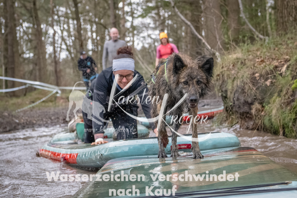 1127_ZZ92879-Bearbeitet | kk-dogfotos