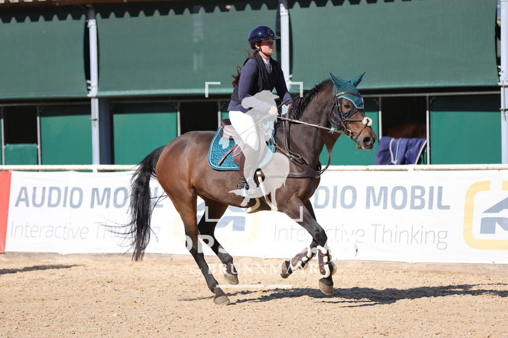 0P6A0262 | Willkommen bei Brunnmayr - Design & Fotografie – Ihrem Spezialisten für Reitturniere und Pferdeveranstaltungen in Oberösterreich, Salzburg und Bayern! Seit über 17 Jahren sind wir leidenschaftlich dabei.