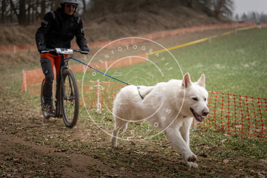 Pfotenfotografie_DV3A6925 | Hundefotografie, Tierfotograf, Pfotenfotografie, Fotoshooting Hund, Hunde Portrait, Hundesport, Hundeportraits, Heideshooting, Hunde, Sportfotograf, Hundefotograf, Turnierhundsport, THS,  - Realisiert mit Pictrs.com