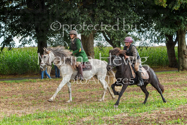 Jagd Perdoel_MarinaHewigMCH04966 | Fotografie, FotoArt, PferdesportArt, Pferdesportfotografie, Landschaftsfotografie, Reisefotografie, Reise, Pferde - Realisiert mit Pictrs.com
