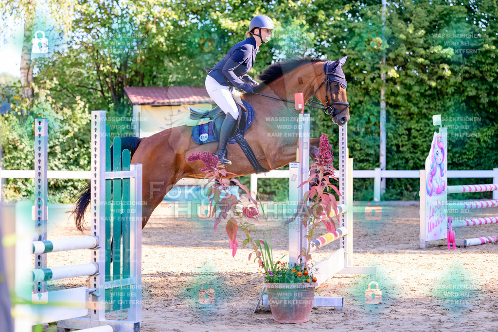 30082026-Giesenbach-Prfg16-0229 | Fokus Hufschlag Fotografie - Realisiert mit Pictrs.com