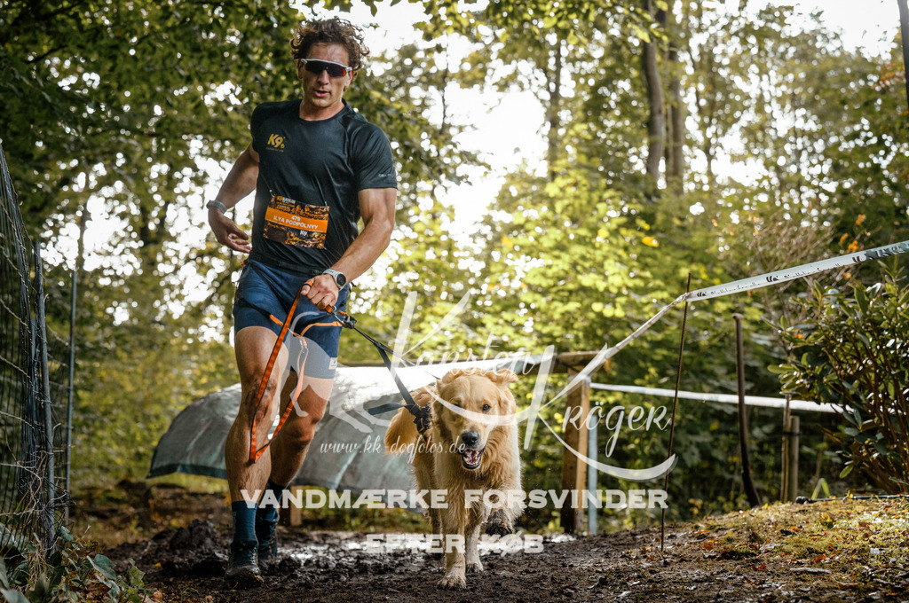 1445DZ6_3433-BearbeitetZ6 | kk-dogfotos