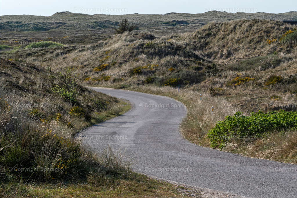 CAR_TE_Country_Road27 | stehend, Straße leicht abfallend9/80° - Realisiert mit Pictrs.com