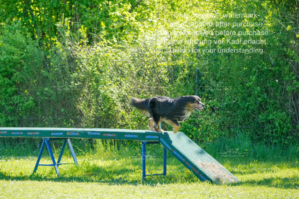 Sa_VK3_03-9 | stephaniefillaphotographie - Realisiert mit Pictrs.com