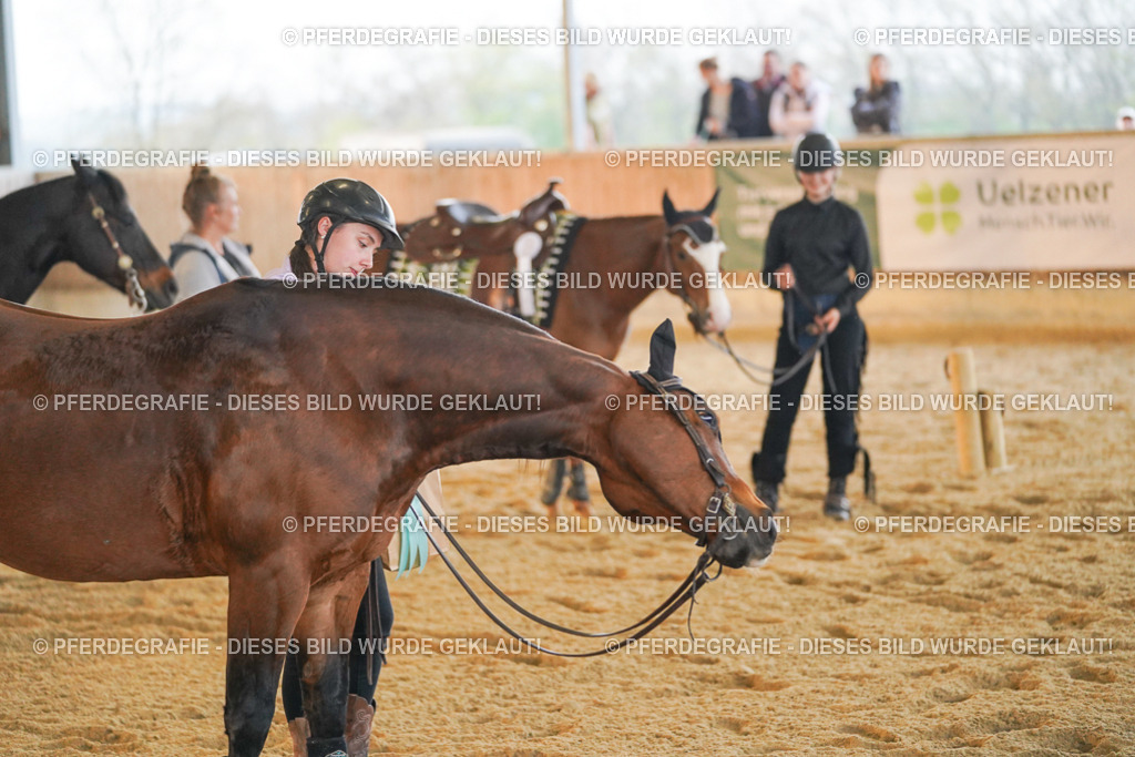 DSC09010 | Pferdegrafie