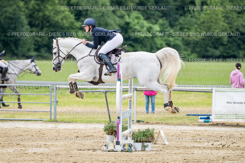 DSC05309 | Pferdegrafie