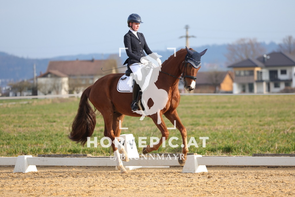 0P6A5952 | Willkommen bei Brunnmayr - Design & Fotografie – Ihrem Spezialisten für Reitturniere und Pferdeveranstaltungen in Oberösterreich, Salzburg und Bayern! Seit über 17 Jahren sind wir leidenschaftlich dabei.