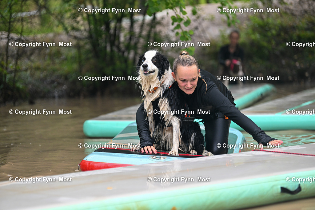 DSC_2539 | Hallo und herzlich Willkommen auf meiner Shop-Seite Fynn Most.

Ich wünsche Dir viel Spaß beim stöbern durch die Bilder, wenn Du Fragen hast oder Bilder vermisst, kannst du mir gerne eine Nachricht schreiben. - Realisiert mit Pictrs.com