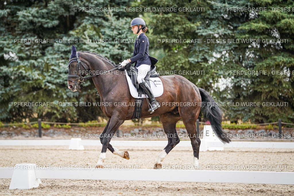 DSC01476 | Pferdegrafie