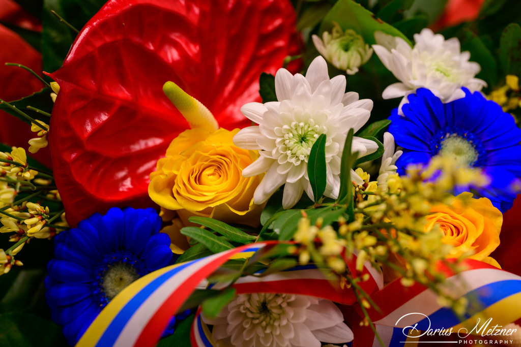 Die Mainzer Fastnacht | Die Mainzer Fastnacht