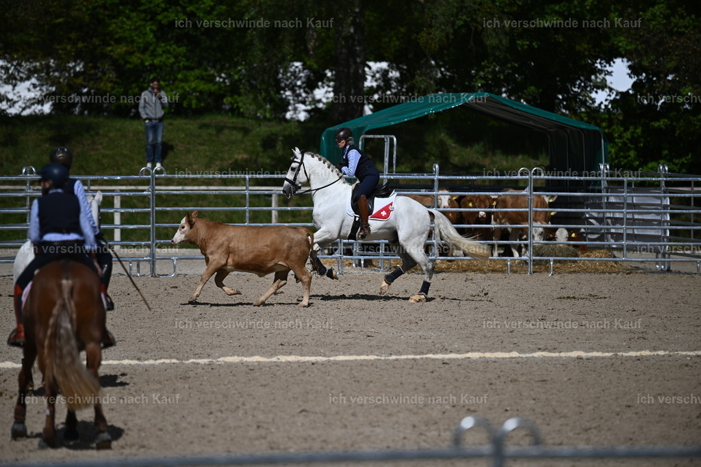 PI26_COW_Sara Landvogt226_7326.JPG | working equitationturnier fotograf videograf stoibphotography marixx film working equitation deutschland reitsport turnierfotografie eventfotografie equestrian events