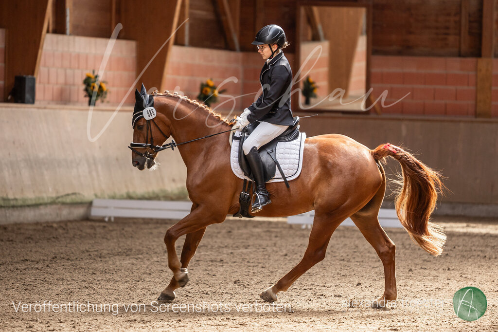 250913_Barop_28_012 | farbklaex.com