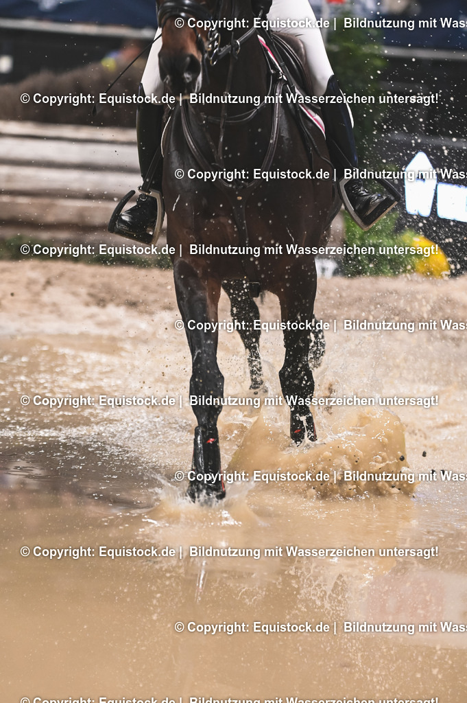20251112_Indoor-Derby_TOMSPIC_0409 | Foto: Thomas Hartig