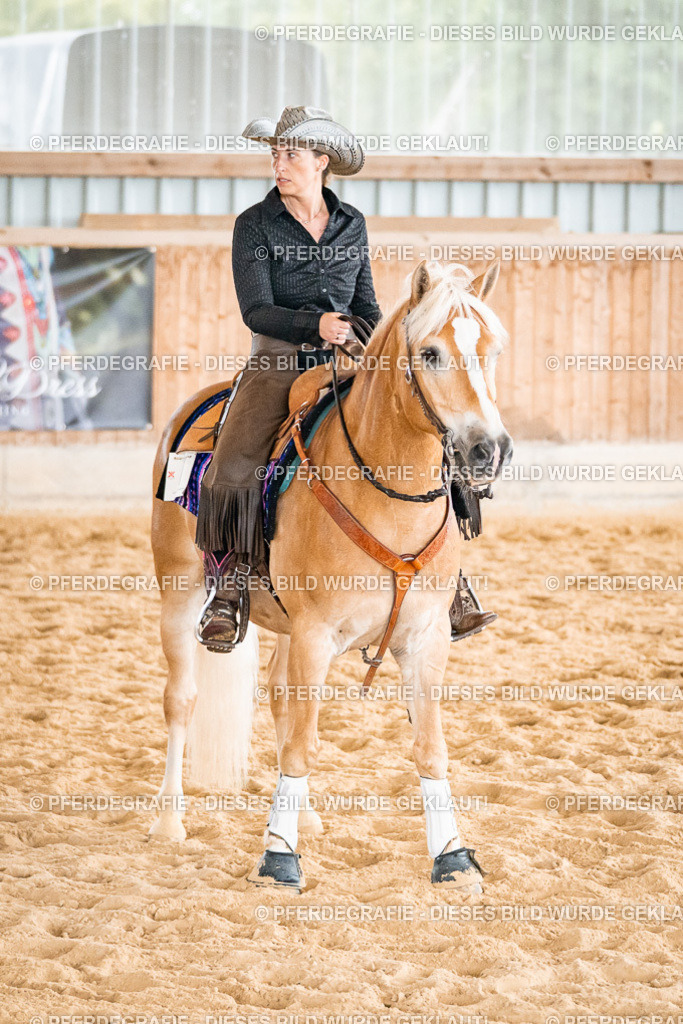 DSC01091 | Pferdegrafie