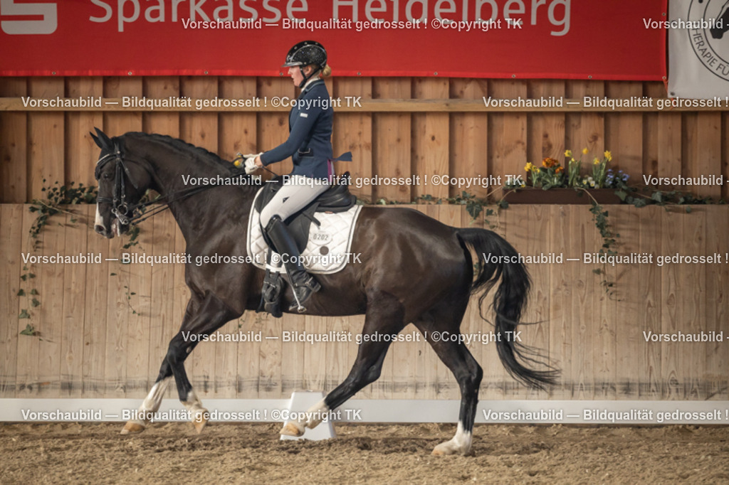 _D5A3055 | Emotionale Pferde- & People-Fotografie rund um Heidelberg, Leimen & Umgebung. Natürliche Fotos von Pferd, Mensch & Familie. Jetzt Termin sichern!