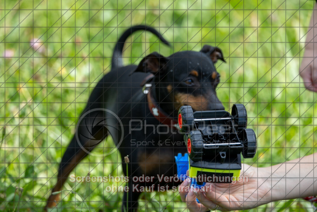 20250831_162032_0238 | #,TSV Ottenbach (gelb) vs. KSG Eislingen (grün), Fussball, Kreisliga A3 - Bezirk Neckar/Fils, 02. Spieltag, Saison 2025/2026, Rasensportplatz Nebenplatz, Im Buchs, 73113 Ottenbach, 31.08.2025 - 15:00 Uhr,Foto: PhotoPeet-Sportfotografie/Peter Harich