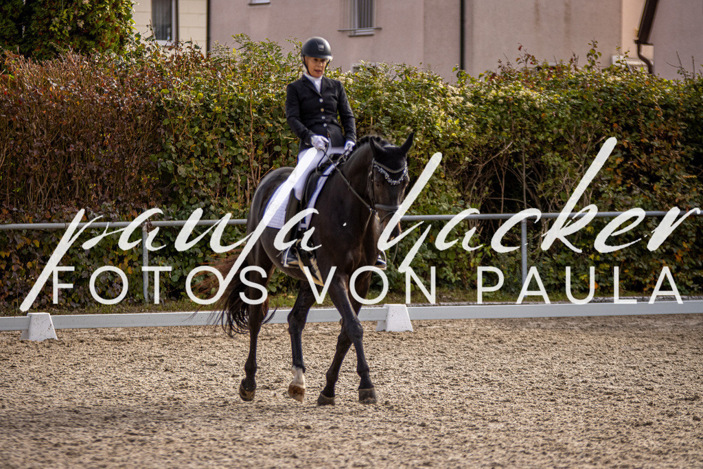 IMG_3261 | Erleben Sie dynamische Sport- und emotionale Tierfotografie in Süddeutschland mit Fotos von Paula. Spezialisiert auf Pferde- und Hundefotografie sowie Sportevents. Kontaktieren Sie mich für einzigartige und ausdrucksstarke Bilder Ihrer besonderen Momente.