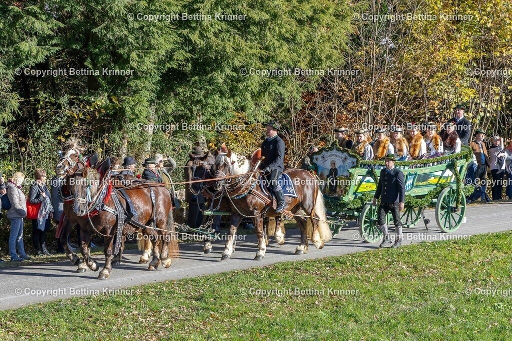 LBT25-104 | foto-bettina-krinner - Realisiert mit Pictrs.com