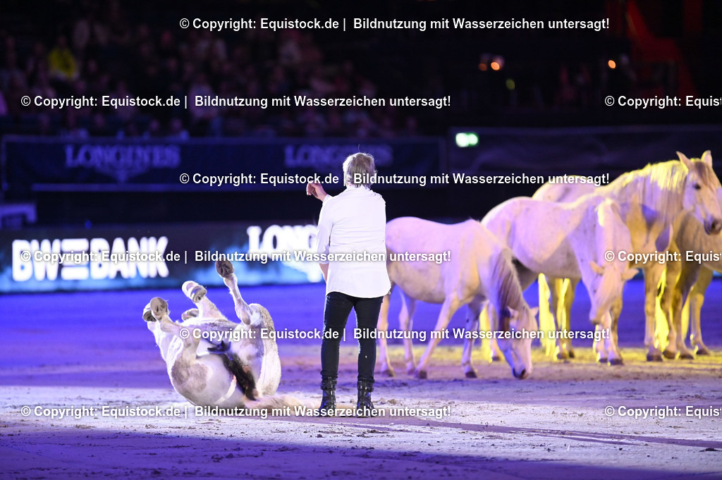 20231115_Show-Jean-Francois-Pignon_0086_TOMsPiC | Foto: Thomas Hartig