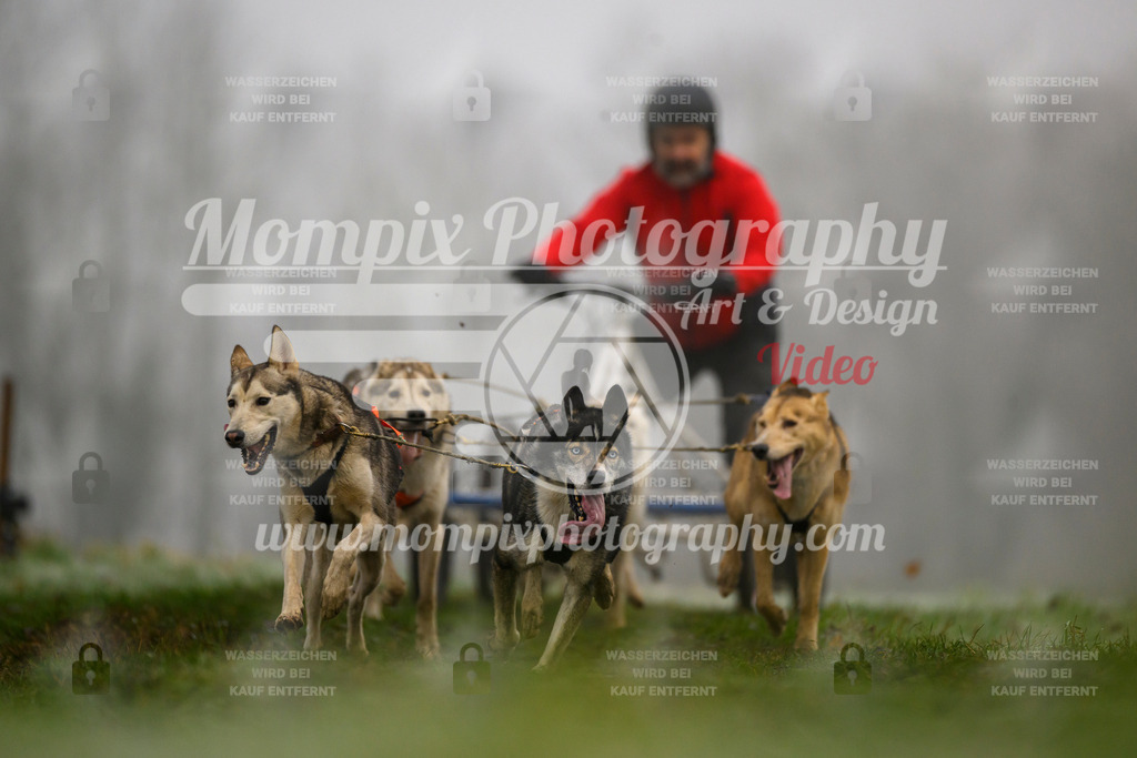 MompixPhotography_CDF2023_FFST_Di_Kart-56 | PayLife