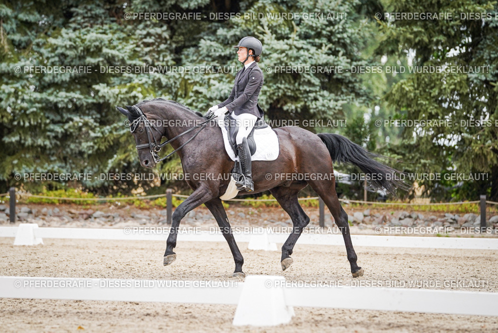 DSC04269 | Pferdegrafie