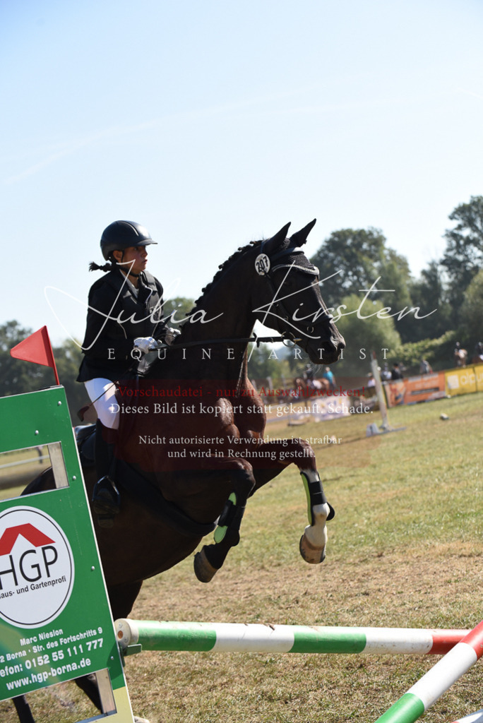 DSC_6009 | Pferde- und Turnierfotografie in Westsachsen. Pferdeportraits, Auftragszeichnungen und intuitive Kunst.
