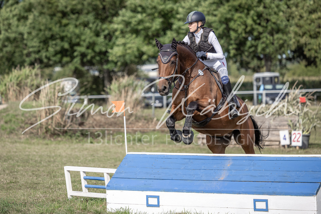 20250907-_3LI9428 | Tierfotografie Pferde, Hunde, Katzen, Haustiere.
Turnierfotografie Reitturniere, Reiten, Springreiten, Dressur in Hanau, dem Main-Kinzig-Kreis und dem Rhein-Main- Gebiet um Frankfurt