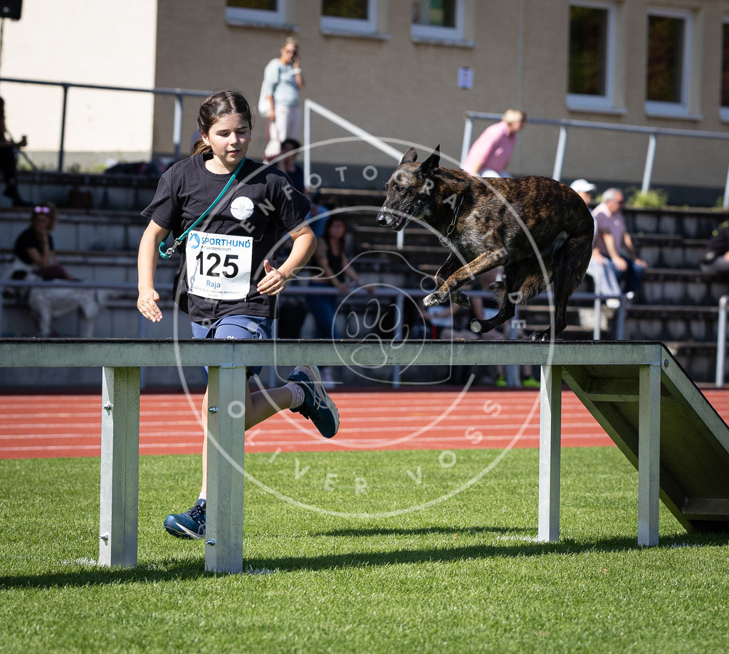 Pfotenfotografie_DV3A8613 | Hundefotografie, Tierfotograf, Pfotenfotografie, Fotoshooting Hund, Hunde Portrait, Hundesport, Hundeportraits, Heideshooting, Hunde, Sportfotograf, Hundefotograf, Turnierhundsport, THS,  - Realisiert mit Pictrs.com