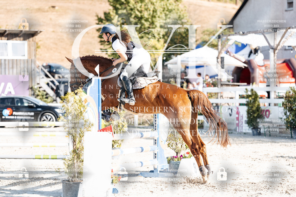 CK909599 | Turnierfotografie Pferdefotografie Trier Rheinland-Pfalz Pferdesport Reitsport Tierfotografie Sportfotografie Pferdevideo Pferdevideografie Equestrianvideography equestrianphotography  - Realisiert mit Pictrs.com