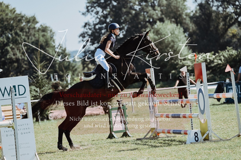 DSC_5926 | Pferde- und Turnierfotografie in Westsachsen. Pferdeportraits, Auftragszeichnungen und intuitive Kunst.