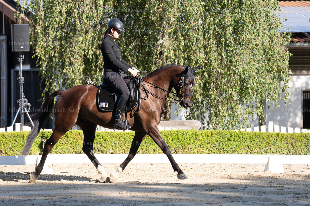 WL_DR_25_sinafilmart_IN05889 | working equitationturnier fotograf videograf stoibphotography marixx film working equitation deutschland reitsport turnierfotografie eventfotografie equestrian events