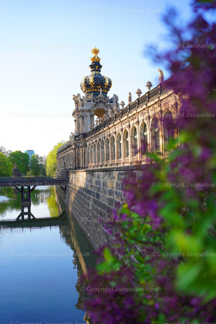 Zwinger_Flieder | Fotografie Photography Dresden Photoshooting  Fotoshooting Fotografin Dresdencity Bilder  Foto Dresdenvideos Kalender Postkarten Bilderdownload Portrait Hochzeitsfotografie Familienfotos Bewerbungsbilder Studiofotografie Fotograf Dresdenbilder Business - Realisiert mit Pictrs.com