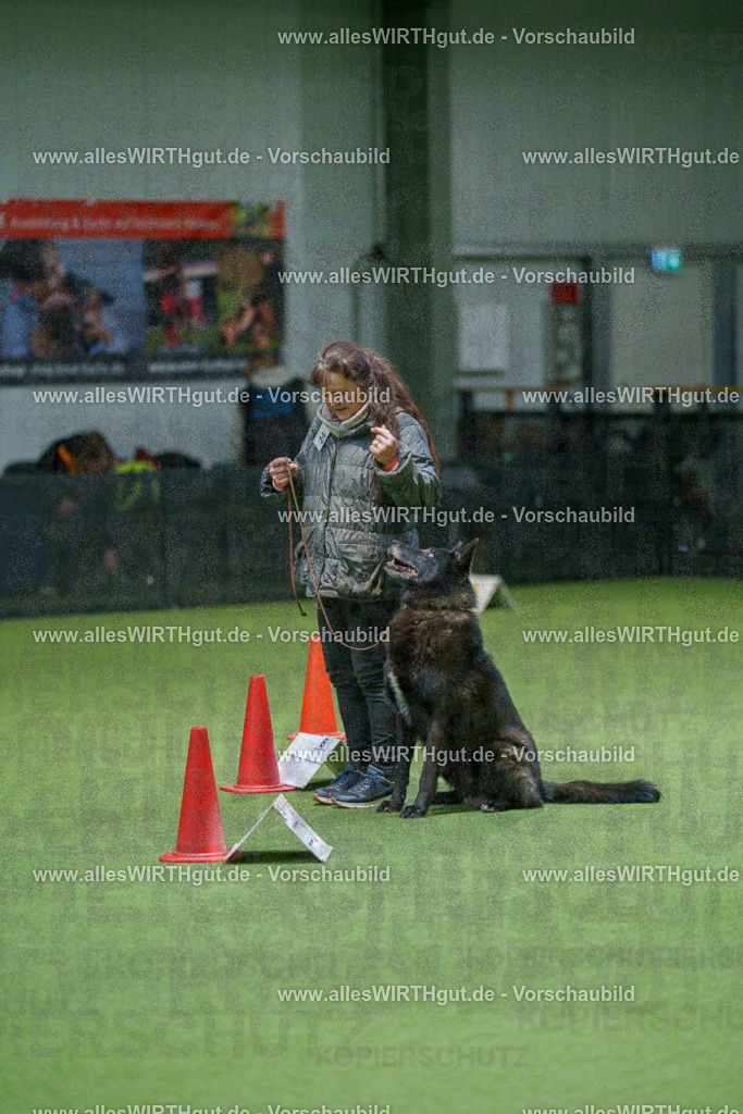 7R504977 | Professionelle Tierfotografie in Mönchengladbach von Daniel Wirth (allesWIRTHgut). Liebevolle & natürliche Bilder von Hunden & Katzen für unvergessliche Erinnerungen.