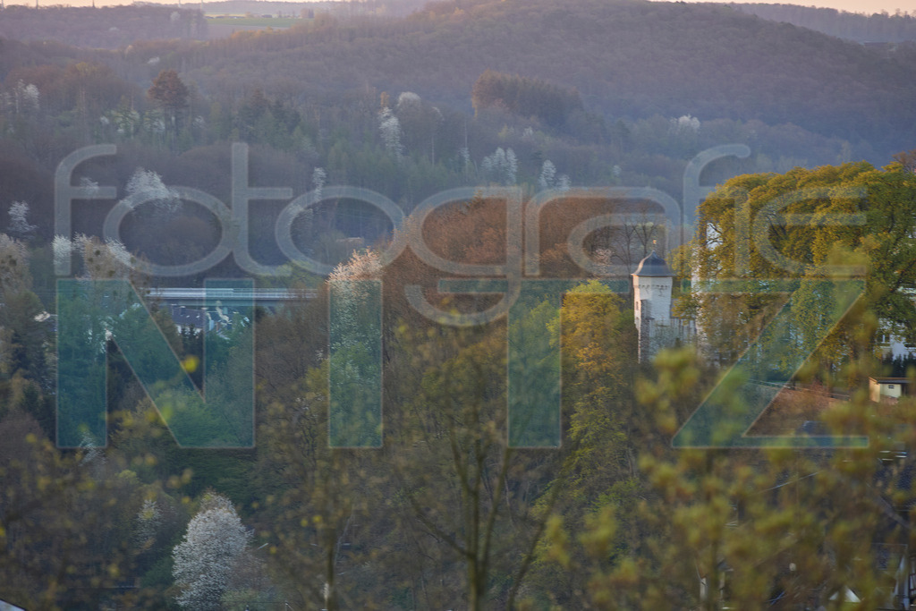 2022-04-20 06-39-42_543A0767 | Nitz Fotografie aus Montabaur bietet Ihnen hier die Möglichkeit Bilder auszusuchen und zu bestellen. 