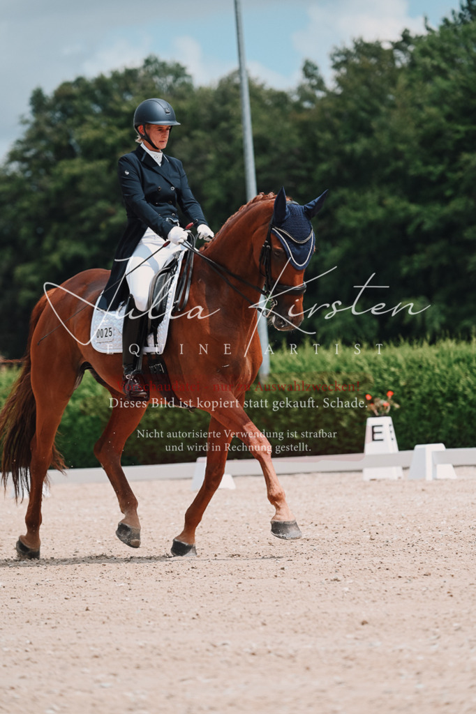 DSC_4205 | Pferde- und Turnierfotografie in Westsachsen. Pferdeportraits, Auftragszeichnungen und intuitive Kunst.