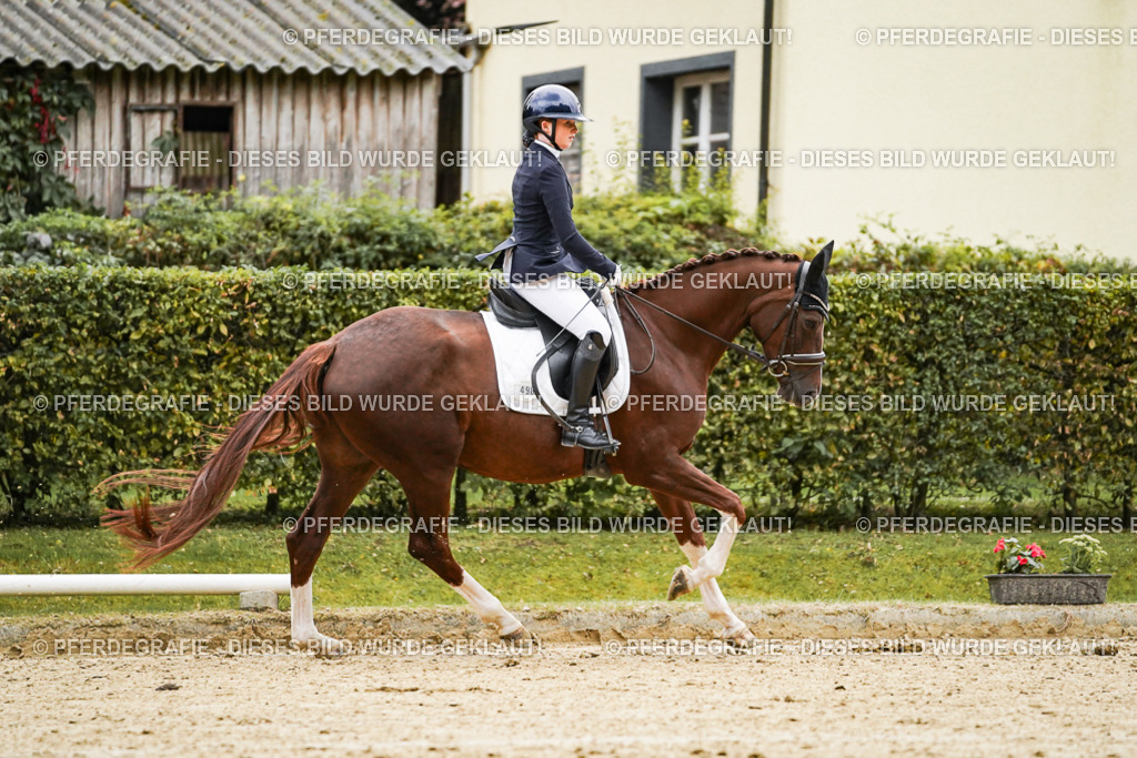 DSC06857 | Pferdegrafie