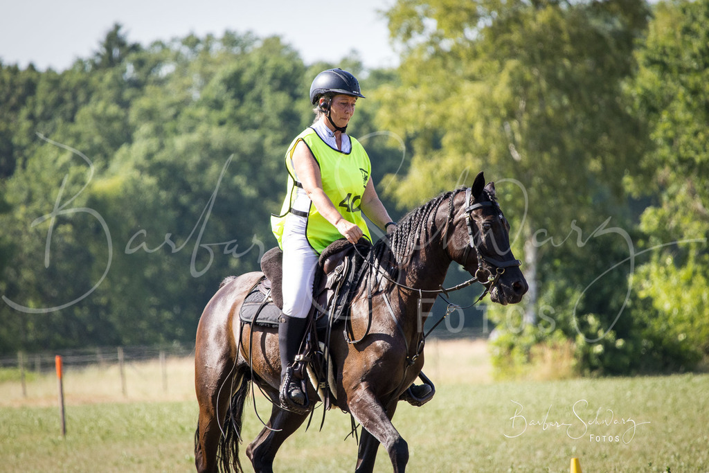 CJP_2026-06-26_218 | Stimmungsvolle Fotografie von Pferden, fotografische Begleitung von Veranstaltungen, Golfturnieren und Distanzritten - Realisiert mit Pictrs.com