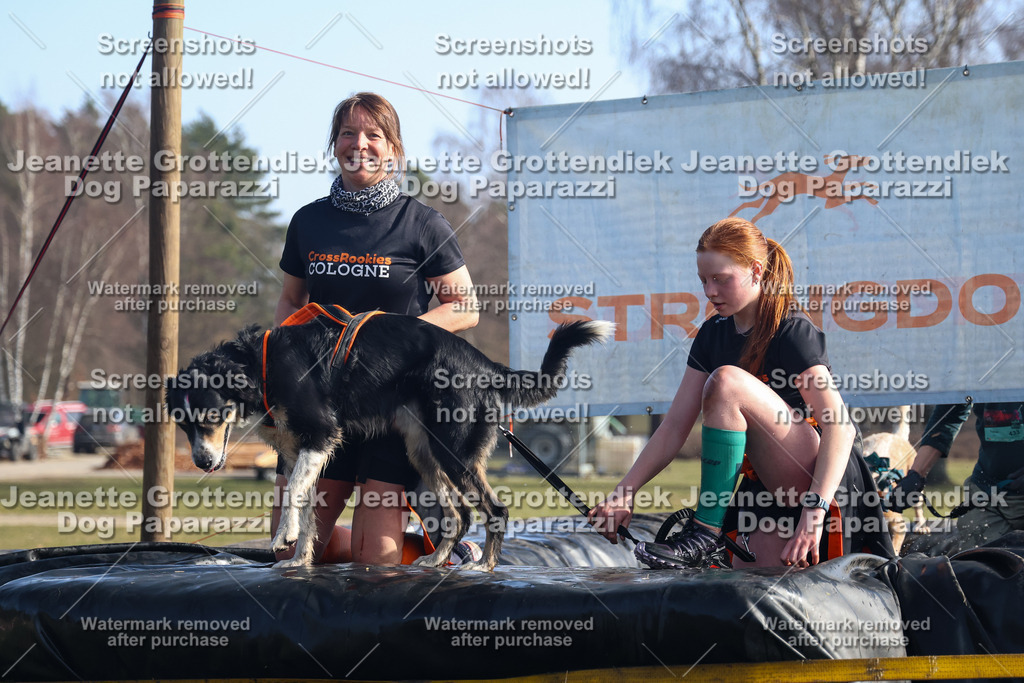 Dog Paparazzi - Strongdog North Mrz26-1330 | Dog Paparazzi Jeanette Grottendiek Fotografie & Videografie - Realisiert mit Pictrs.com