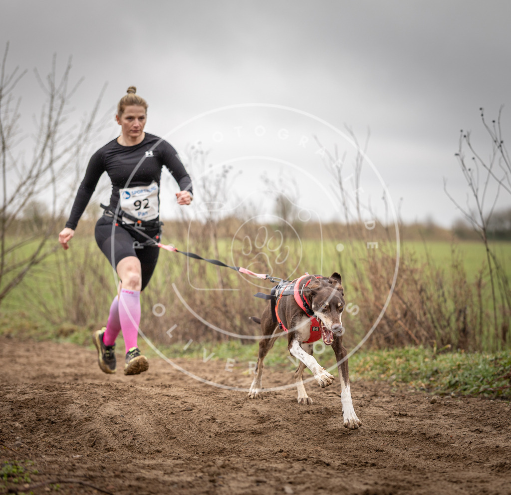 DV3A0023 | Hundefotografie, Tierfotograf, Pfotenfotografie, Fotoshooting Hund, Hunde Portrait, Hundesport, Hundeportraits, Heideshooting, Hunde, Sportfotograf, Hundefotograf, Turnierhundsport, THS,  - Realisiert mit Pictrs.com