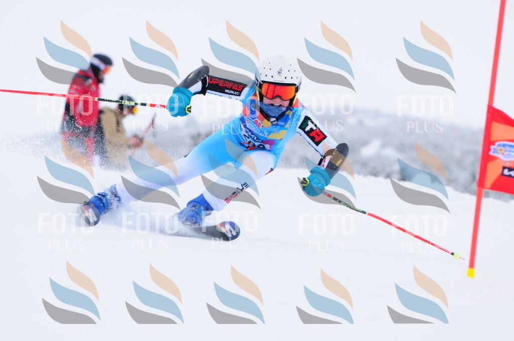 C2985 | holidayphoto