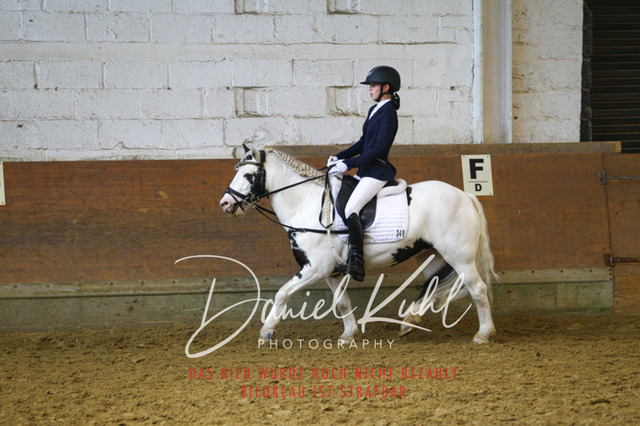 DKP43901 | Turniersportfotografie; Pferdefotografie; Dressurfotografie