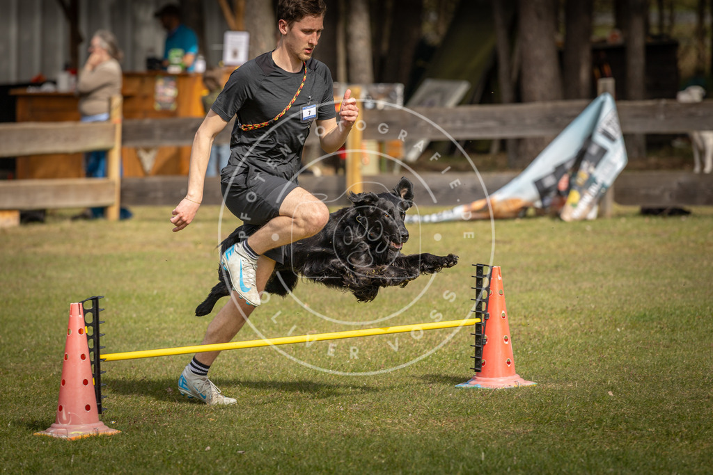 Pfotenfotografie_DV3A9322 | Hundefotografie, Tierfotograf, Pfotenfotografie, Fotoshooting Hund, Hunde Portrait, Hundesport, Hundeportraits, Heideshooting, Hunde, Sportfotograf, Hundefotograf, Turnierhundsport, THS,  - Realisiert mit Pictrs.com