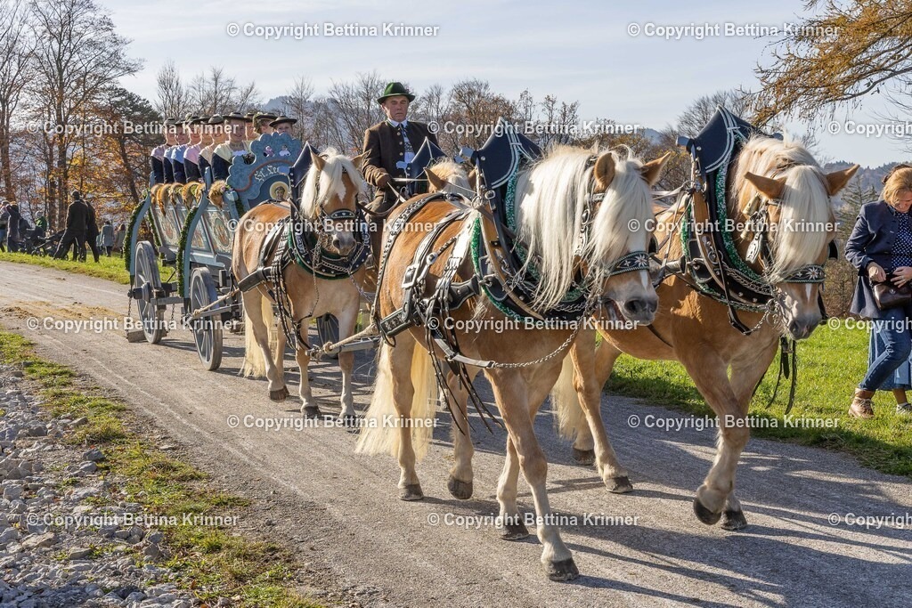 LBT24-1524 | foto-bettina-krinner - Realisiert mit Pictrs.com