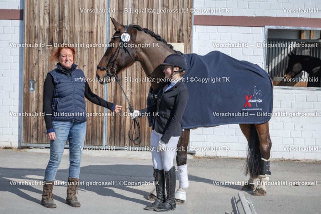 _D5A8668 | Emotionale Pferde- & People-Fotografie rund um Heidelberg, Leimen & Umgebung. Natürliche Fotos von Pferd, Mensch & Familie. Jetzt Termin sichern!