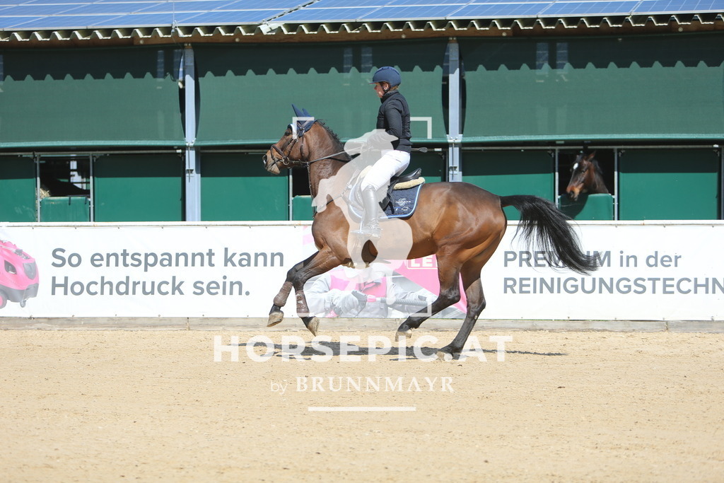 DL2Q9580 | Willkommen bei Brunnmayr - Design & Fotografie – Ihrem Spezialisten für Reitturniere und Pferdeveranstaltungen in Oberösterreich, Salzburg und Bayern! Seit über 17 Jahren sind wir leidenschaftlich dabei.