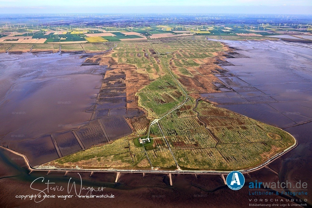 Auf der Hamburger Hallig kommen rund 800 Tierarten vor - Luftbild | Besonders auf den nicht beweideten Abschnitten entwickelt sich eine größere Pflanzenvielfalt – dort blühen im Sommer Halligflieder, Strandaster und Grasnelke.  Auf der ganzen Hallig kommen rund 800 Tierarten vor, darunter ca.  2.000 Insekten- und Spinnenarten, von denen etwa 50 % hochspezialisiert nur in der naturnahen Salzwiese vorkommen.